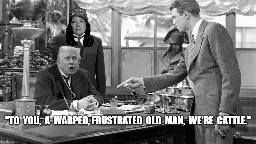 MAGA Values | "TO  YOU,  A  WARPED, FRUSTRATED  OLD  MAN,  WE'RE  CATTLE." | image tagged in donald trump | made w/ Imgflip meme maker