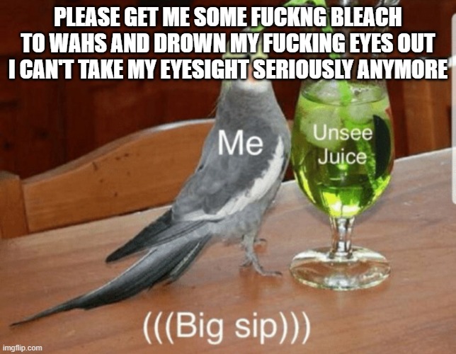 Unsee juice | PLEASE GET ME SOME FUCKNG BLEACH TO WAHS AND DROWN MY FUCKING EYES OUT I CAN'T TAKE MY EYESIGHT SERIOUSLY ANYMORE | image tagged in unsee juice | made w/ Imgflip meme maker