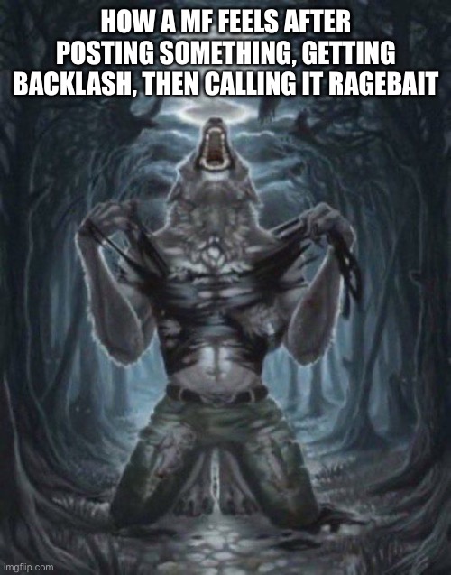 alpha wolf | HOW A MF FEELS AFTER POSTING SOMETHING, GETTING BACKLASH, THEN CALLING IT RAGEBAIT | image tagged in alpha wolf | made w/ Imgflip meme maker