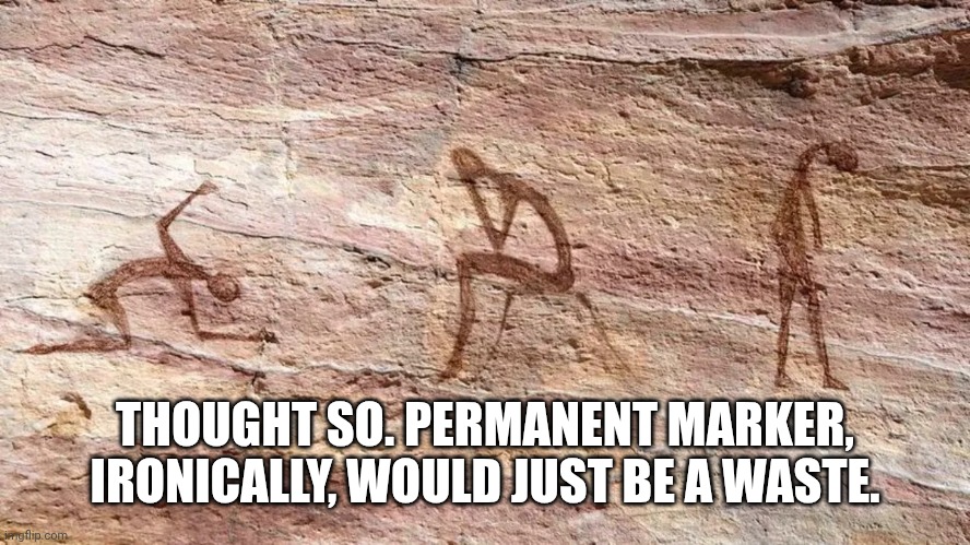 Depressed Cave Painting | THOUGHT SO. PERMANENT MARKER, IRONICALLY, WOULD JUST BE A WASTE. | image tagged in depressed cave painting | made w/ Imgflip meme maker