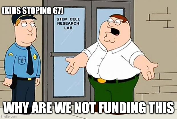 Why Are We Not Funding This  | (KIDS STOPING 67) WHY ARE WE NOT FUNDING THIS | image tagged in why are we not funding this | made w/ Imgflip meme maker