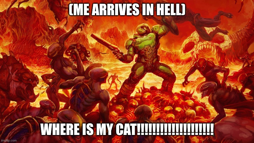 cat | (ME ARRIVES IN HELL); WHERE IS MY CAT!!!!!!!!!!!!!!!!!!!! | image tagged in doomguy | made w/ Imgflip meme maker