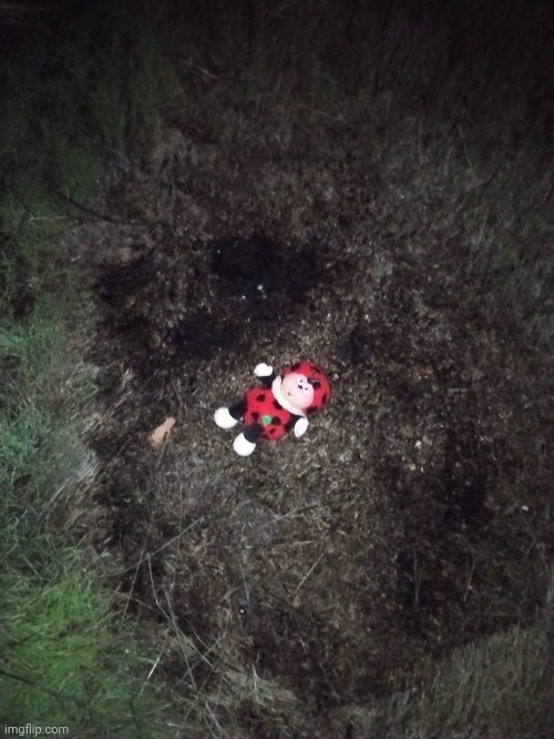 cocomiel magic kids dibujito animado vaquita de san antonio | image tagged in cococinel | made w/ Imgflip meme maker