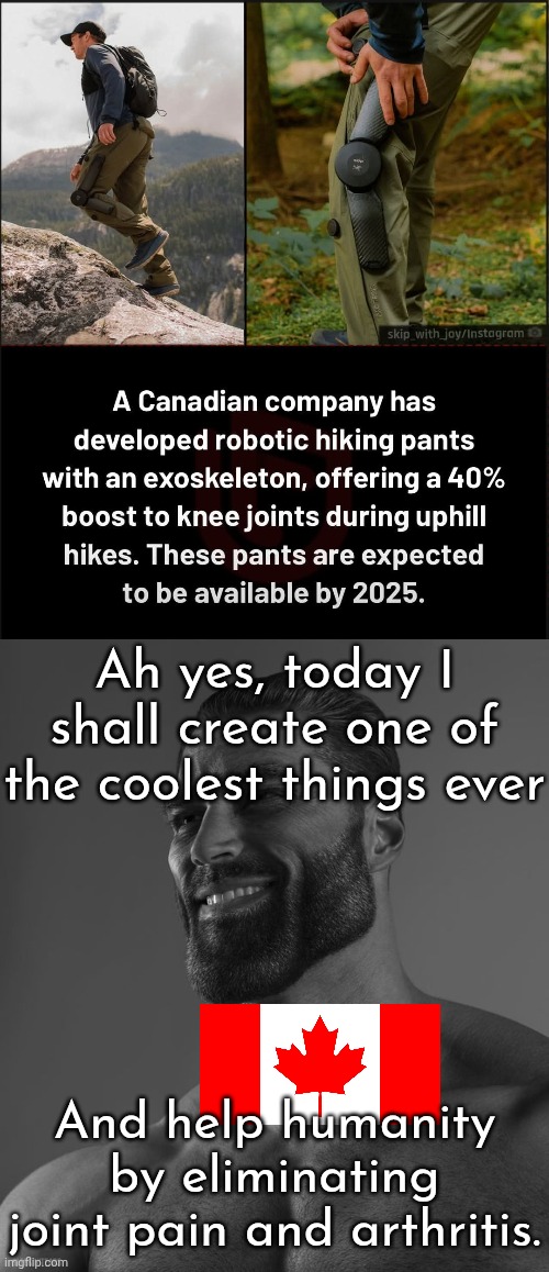 Common Canada W | Ah yes, today I shall create one of the coolest things ever; And help humanity by eliminating joint pain and arthritis. | image tagged in giga chad | made w/ Imgflip meme maker