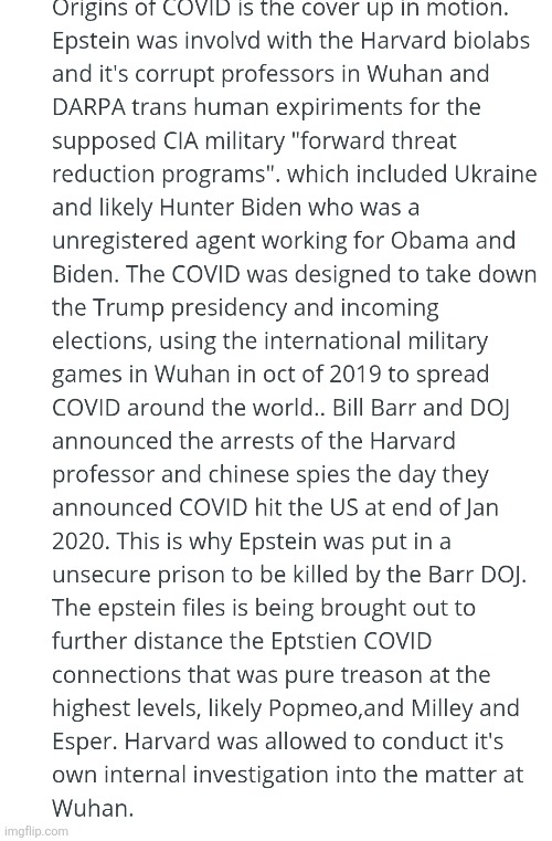 CONVID 19 EXPOSED :INFOSNACK COMMENTATOR | image tagged in wtf,infowar | made w/ Imgflip meme maker