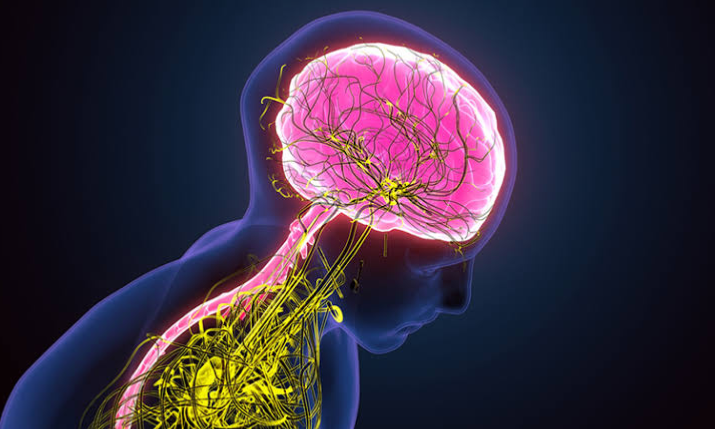 High Quality Sympathetic system Blank Meme Template