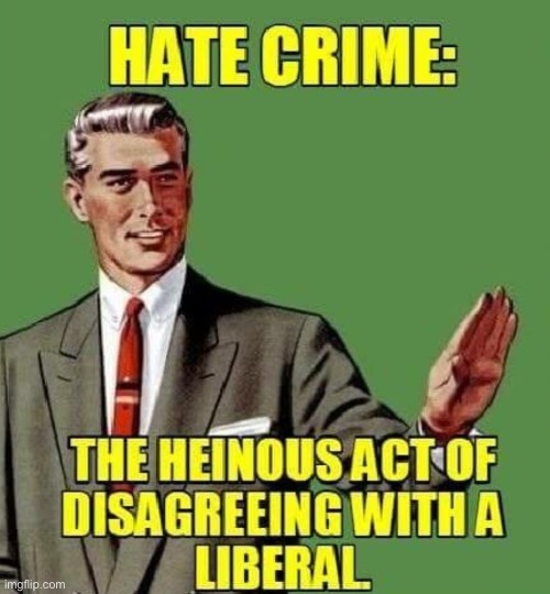 The Heinous Act | image tagged in libtards,liberal privilege,liberal logic,liberal hypocrisy,disagree,duhhh dumbass | made w/ Imgflip meme maker