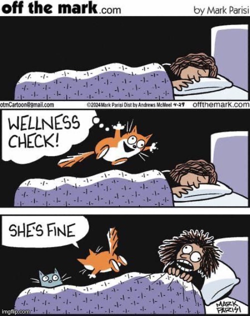 The cats do acupuncture as well… | image tagged in cats,off the mark,comics,woman,sleeping,wellness check | made w/ Imgflip meme maker