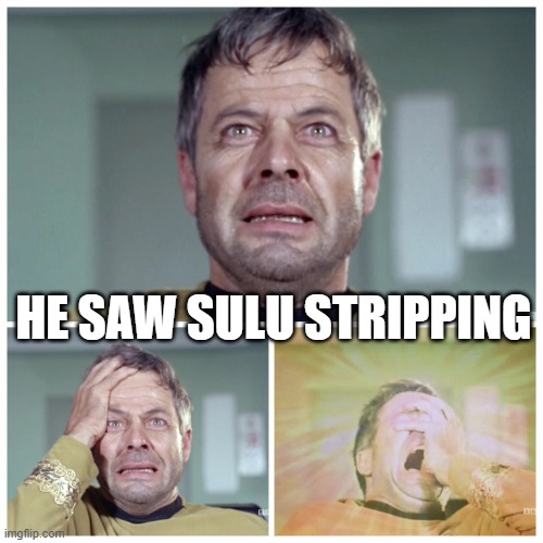 Not Sulu! | HE SAW SULU STRIPPING | image tagged in star trek commodore decker panicking | made w/ Imgflip meme maker