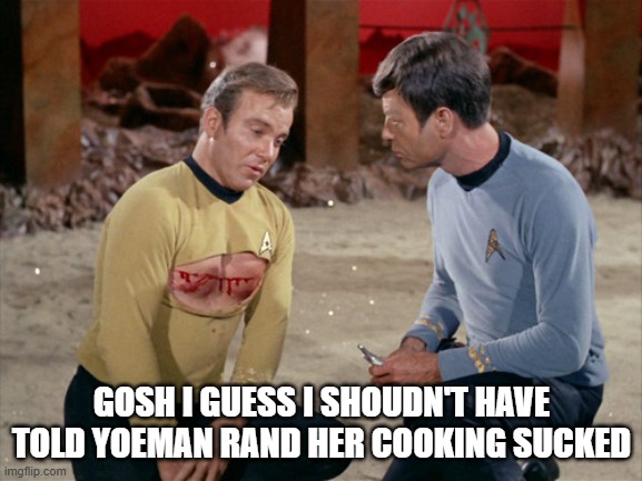 Don't Insult the Yoeman | GOSH I GUESS I SHOUDN'T HAVE TOLD YOEMAN RAND HER COOKING SUCKED | image tagged in star trek kirk bloody | made w/ Imgflip meme maker