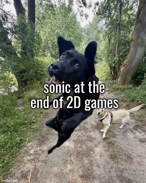 sonic at the end of 2D games | made w/ Imgflip meme maker