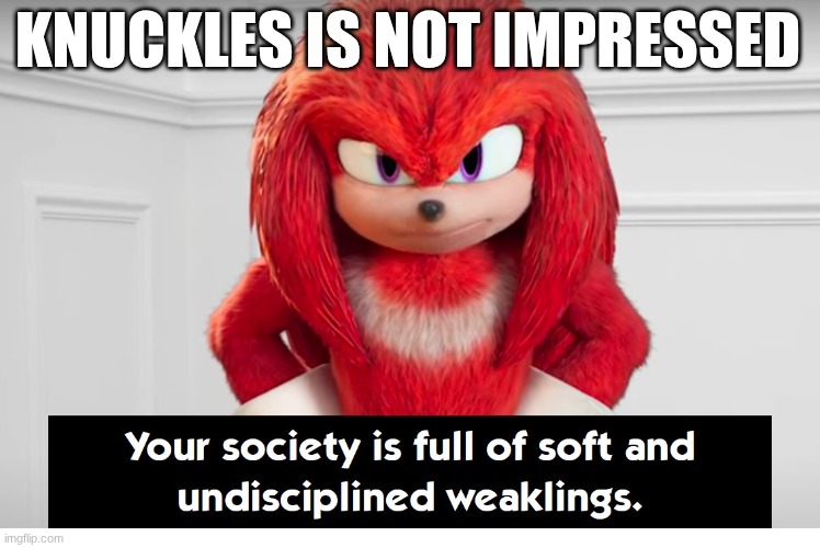 Your Society Is Full of Soft and Undisciplined Weaklings | KNUCKLES IS NOT IMPRESSED | image tagged in your society is full of soft and undisciplined weaklings | made w/ Imgflip meme maker