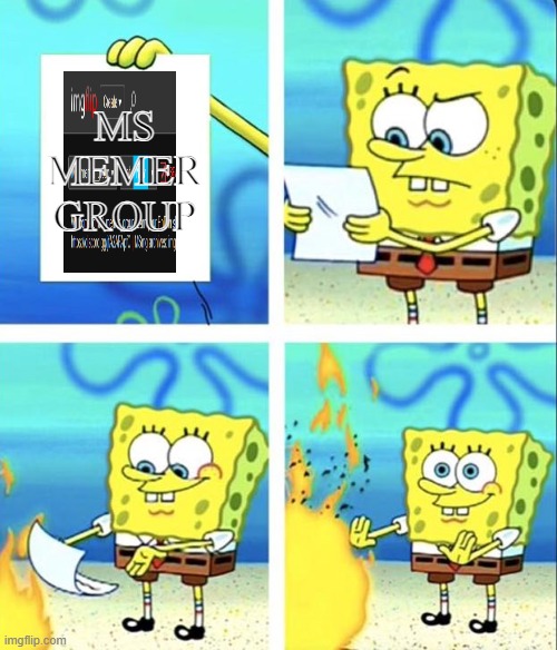 Spongebob yeet | MS MEMER GROUP | image tagged in spongebob yeet | made w/ Imgflip meme maker