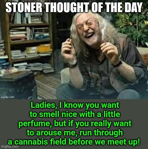 That's a lovely fragrance you're wearing | Ladies, I know you want to smell nice with a little perfume, but if you really want to arouse me, run through a cannabis field before we meet up! | image tagged in stoner thought,perfume,cannabis,skunk,smell | made w/ Imgflip meme maker