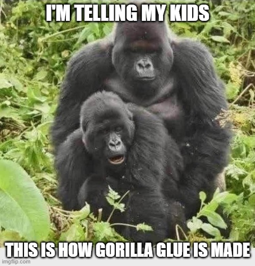 Gorilla Glue | I'M TELLING MY KIDS; THIS IS HOW GORILLA GLUE IS MADE | image tagged in dark humor | made w/ Imgflip meme maker