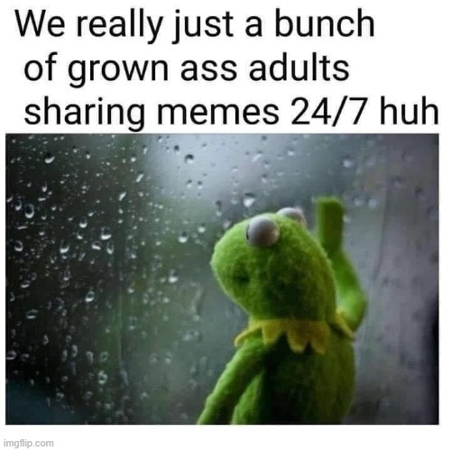 I Mean Some of Us Are Adults | image tagged in repost | made w/ Imgflip meme maker