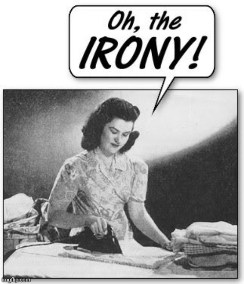 image tagged in the irony | made w/ Imgflip meme maker