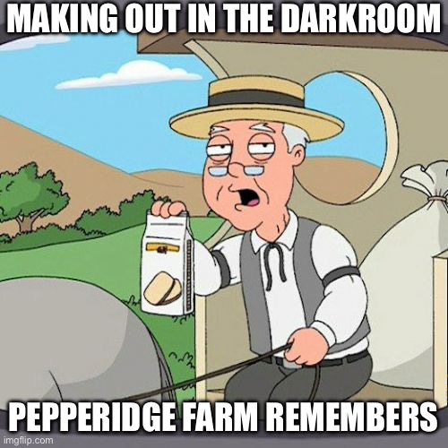 Pepperidge Farm Remembers | MAKING OUT IN THE DARKROOM; PEPPERIDGE FARM REMEMBERS | image tagged in memes,pepperidge farm remembers | made w/ Imgflip meme maker