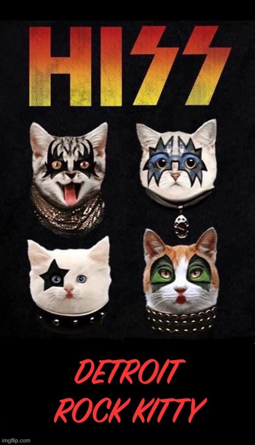 Demon Kitty, Space Kitty, Star Kitty and Cat Kitty… | image tagged in fun,cats,hiss,detroit rock kitty,kiss | made w/ Imgflip meme maker