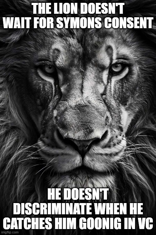 A lion doesn’t concern himseld | THE LION DOESN'T WAIT FOR SYMONS CONSENT; HE DOESN'T DISCRIMINATE WHEN HE CATCHES HIM GOONIG IN VC | image tagged in a lion doesn t concern himseld | made w/ Imgflip meme maker