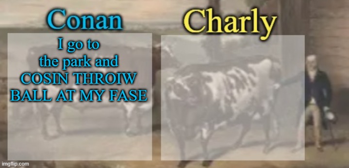 conan + charly cows temp v1 | I go to the park and COSIN THROIW BALL AT MY FASE | image tagged in conan charly cows temp v1 | made w/ Imgflip meme maker