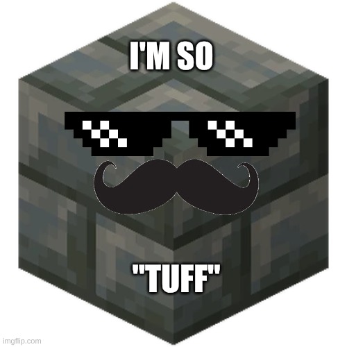 I'M SO "TUFF" | I'M SO; "TUFF" | image tagged in minecraft | made w/ Imgflip meme maker