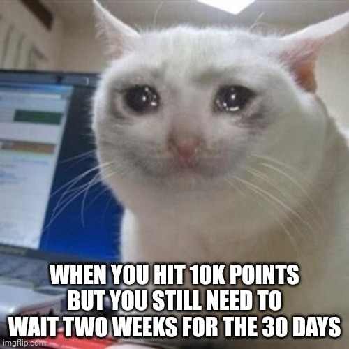 Crying cat | WHEN YOU HIT 10K POINTS BUT YOU STILL NEED TO WAIT TWO WEEKS FOR THE 30 DAYS | image tagged in crying cat | made w/ Imgflip meme maker
