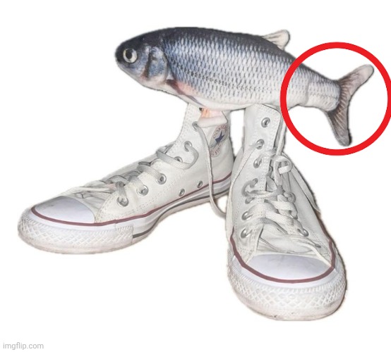 fihs | image tagged in fihs | made w/ Imgflip meme maker