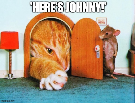 'Here's Johnny!' Cat mouse meme | 'HERE'S JOHNNY!' | image tagged in the shining,cat mouse,silly,parody,memes | made w/ Imgflip meme maker