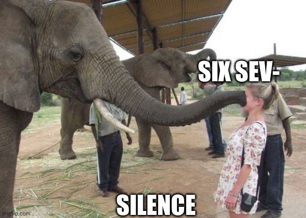Elephant Sucking Face | SIX SEV-; SILENCE | image tagged in elephant sucking face | made w/ Imgflip meme maker
