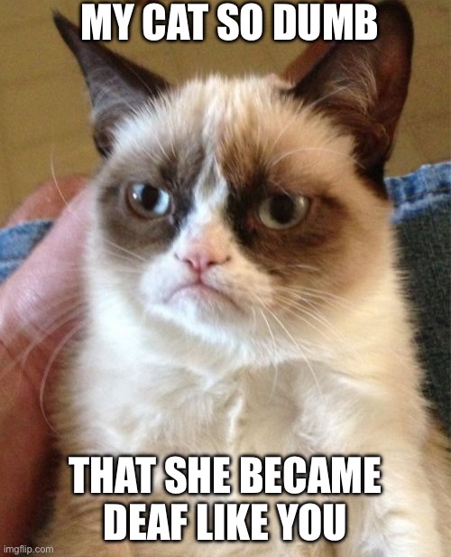 Grumpy Cat | MY CAT SO DUMB; THAT SHE BECAME DEAF LIKE YOU | image tagged in memes,grumpy cat | made w/ Imgflip meme maker