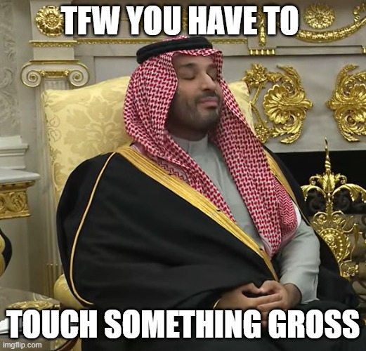 Crown Prince Touched By Trump | TFW YOU HAVE TO; TOUCH SOMETHING GROSS | image tagged in crown prince touched by trump | made w/ Imgflip meme maker