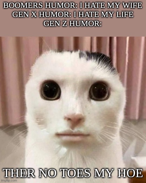 GEN Z HUMOR IS FUNNY | BOOMERS HUMOR: I HATE MY WIFE
GEN X HUMOR: I HATE MY LIFE
GEN Z HUMOR:; THER NO TOES MY HOE | image tagged in my honest reaction,gen z humor,funny,memes,goofy ahh,old | made w/ Imgflip meme maker