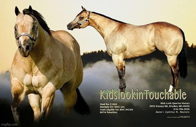 holy shit they turned Andrew into a horse | made w/ Imgflip meme maker