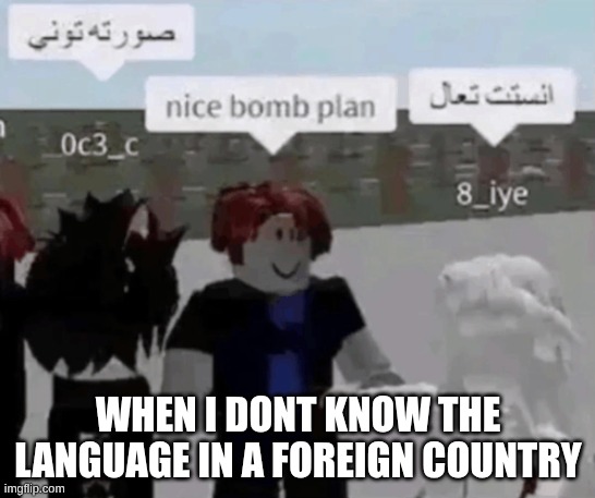 lol | WHEN I DONT KNOW THE LANGUAGE IN A FOREIGN COUNTRY | image tagged in fun,memes,trending,funny,english | made w/ Imgflip meme maker