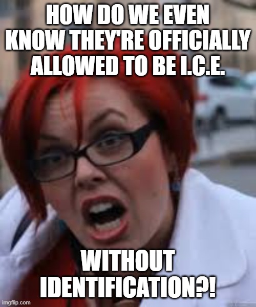 SJW Triggered | HOW DO WE EVEN KNOW THEY'RE OFFICIALLY ALLOWED TO BE I.C.E. WITHOUT IDENTIFICATION?! | image tagged in sjw triggered | made w/ Imgflip meme maker
