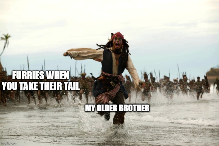 captain jack sparrow running | FURRIES WHEN YOU TAKE THEIR TAIL; MY OLDER BROTHER | image tagged in captain jack sparrow running | made w/ Imgflip meme maker