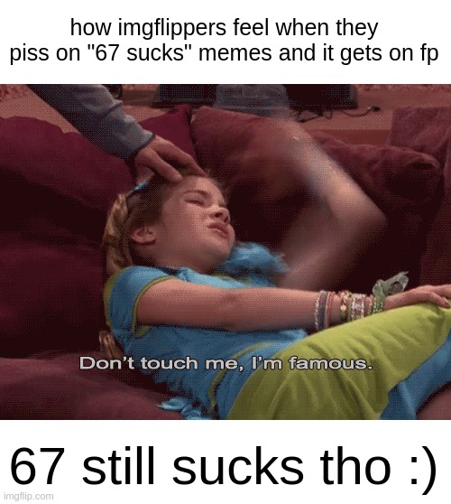 comment section boutta explode | how imgflippers feel when they piss on "67 sucks" memes and it gets on fp; 67 still sucks tho :) | image tagged in don't touch me i'm famous,why are you reading the tags,if you read this tag you are cursed | made w/ Imgflip meme maker