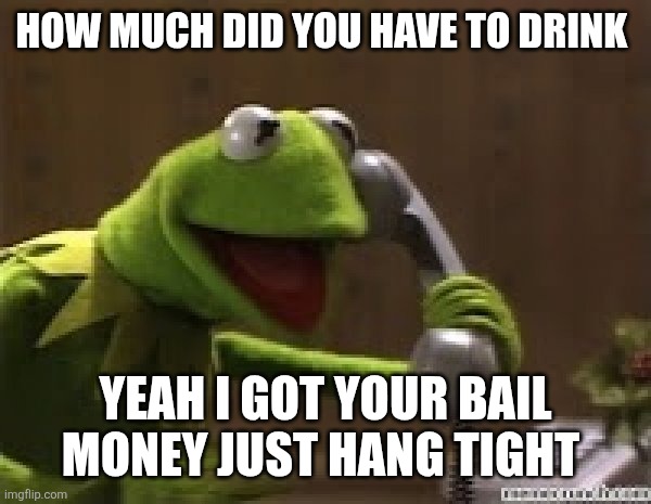 Kermit The Frog At Phone | HOW MUCH DID YOU HAVE TO DRINK YEAH I GOT YOUR BAIL MONEY JUST HANG TIGHT | image tagged in kermit the frog at phone | made w/ Imgflip meme maker