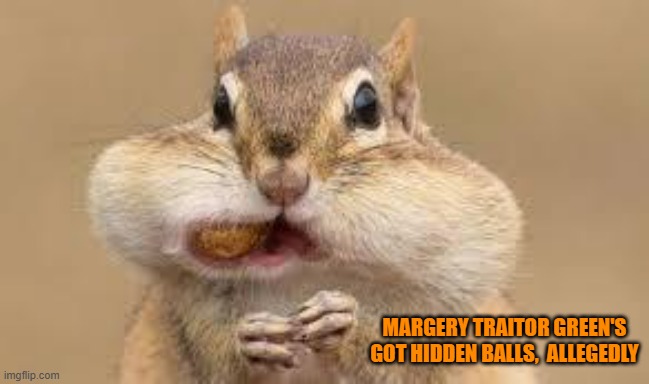 Chipmunk | MARGERY TRAITOR GREEN'S
GOT HIDDEN BALLS,  ALLEGEDLY | image tagged in chipmunk | made w/ Imgflip meme maker