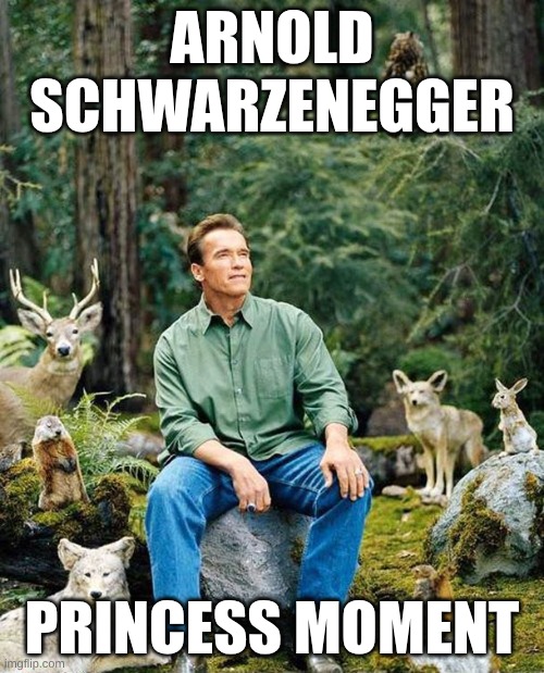 Princess Arnold | ARNOLD SCHWARZENEGGER; PRINCESS MOMENT | image tagged in arnold schwarzenegger,disney princesses | made w/ Imgflip meme maker