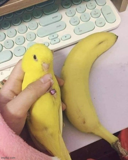 image tagged in shitpost | made w/ Imgflip meme maker