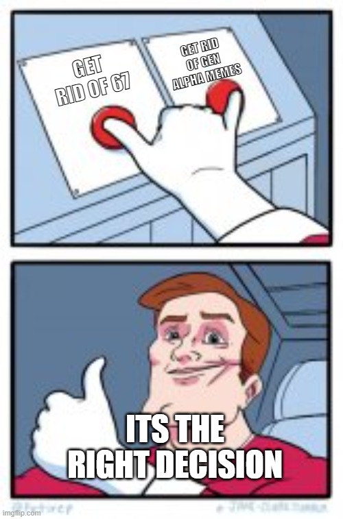 2 BUTTONS TOGETHER | GET RID OF GEN ALPHA MEMES; GET RID OF 67; ITS THE RIGHT DECISION | image tagged in 2 buttons together | made w/ Imgflip meme maker