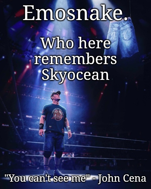 Emosnake's John Cena announcement template | Who here remembers Skyocean | image tagged in emosnake's john cena announcement template | made w/ Imgflip meme maker