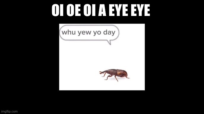 Shiptoast of the day | OI OE OI A EYE EYE | made w/ Imgflip meme maker