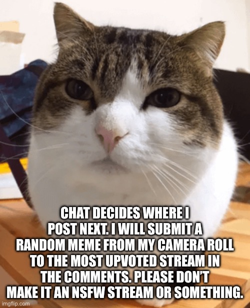 Oh the misery (original) | CHAT DECIDES WHERE I POST NEXT. I WILL SUBMIT A RANDOM MEME FROM MY CAMERA ROLL TO THE MOST UPVOTED STREAM IN THE COMMENTS. PLEASE DON’T MAKE IT AN NSFW STREAM OR SOMETHING. | image tagged in oh the misery original | made w/ Imgflip meme maker