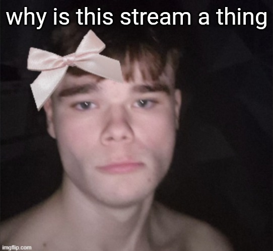so cutesie | why is this stream a thing | image tagged in so cutesie | made w/ Imgflip meme maker