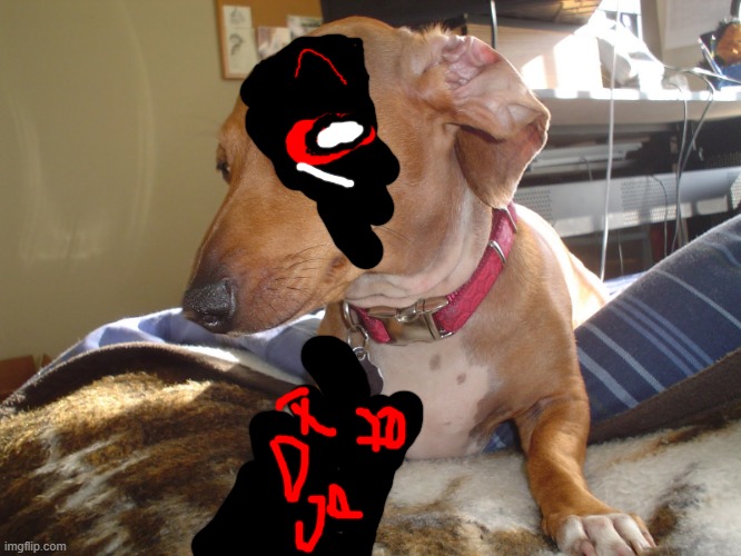 john doe dawg | image tagged in suspicious dog | made w/ Imgflip meme maker