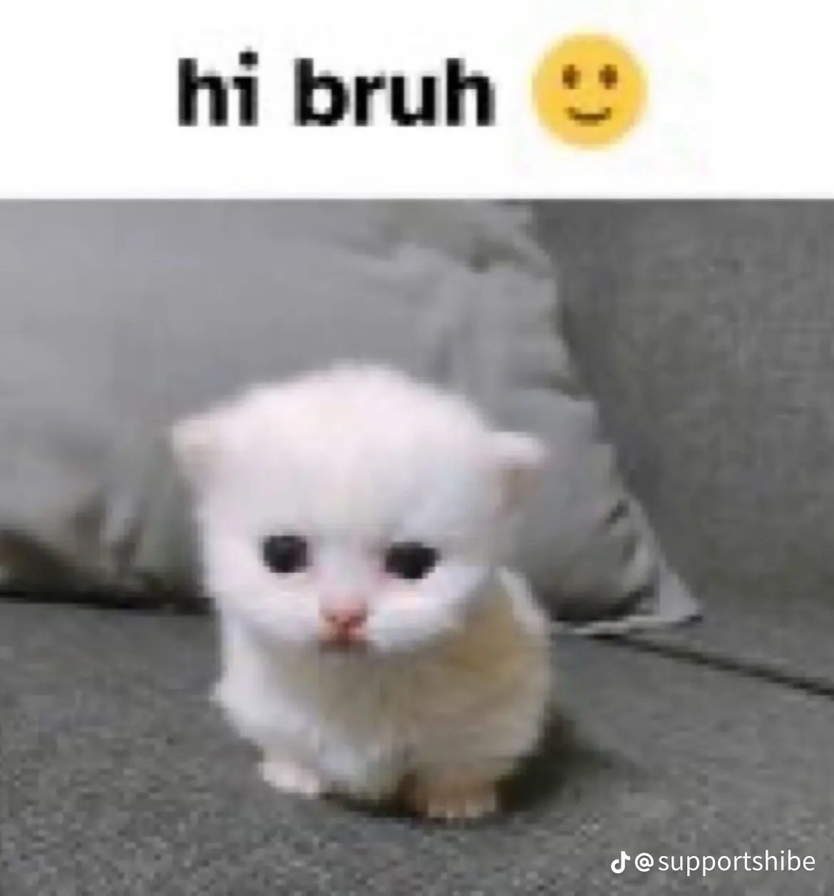 hi bruh Blank Meme Template