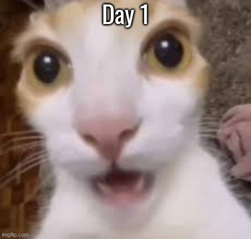 Initial day of the crash in the comments | Day 1 | made w/ Imgflip meme maker